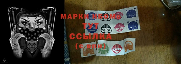 прущий лед Верея