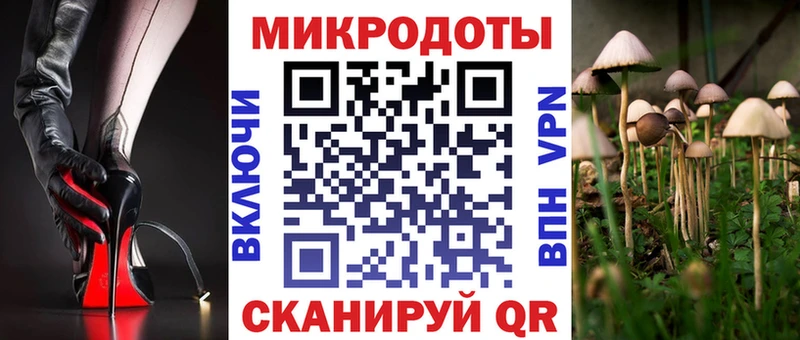Купить  Арамиль  Галлюциногенные грибы мицелий 